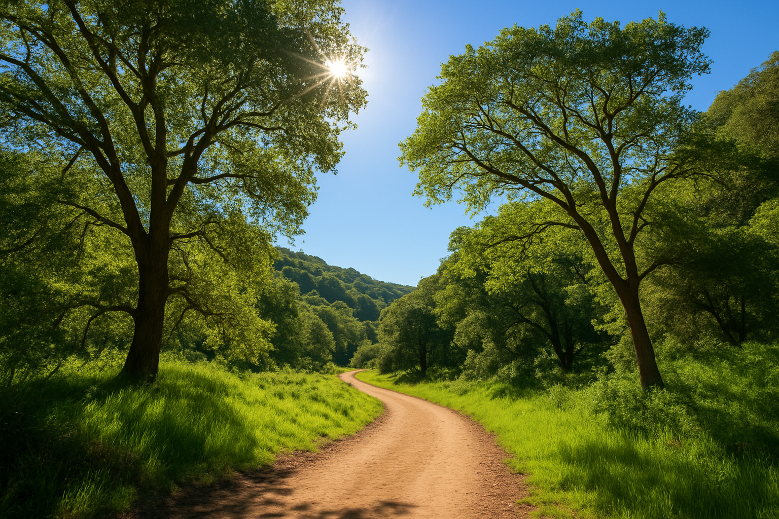 How to Navigate Leona Canyon Trail for a Great Walk
