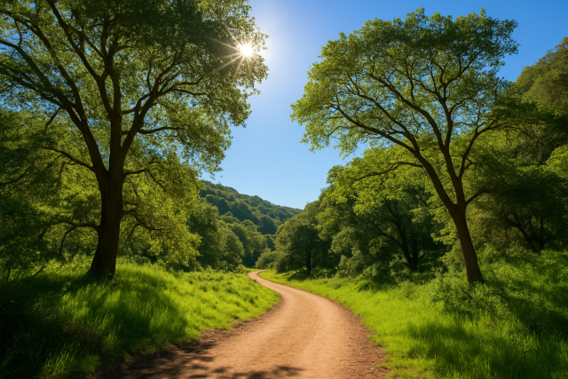 How to Navigate Leona Canyon Trail for a Great Walk